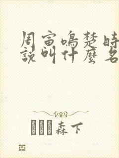 周寅鸣楚时颜小说叫什么名字