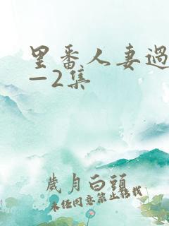 里番人妻过夜1—2集