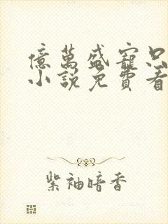 亿万盛宠只为你小说免费看