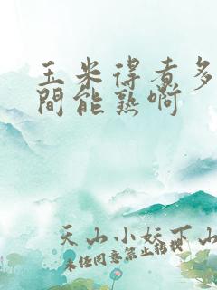 玉米得煮多长时间能熟啊