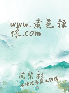 www.黄色录像.com