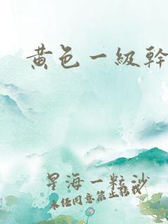 黄色一级干逼片