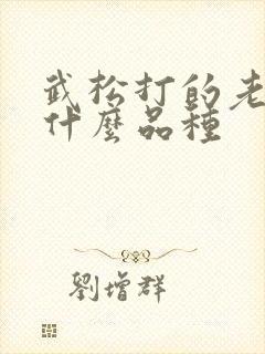 武松打的老虎是什么品种