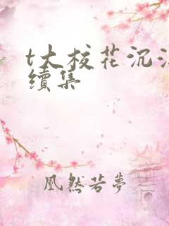 t大校花沉浮录续集