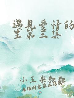 遇见爱情的利先生第三集