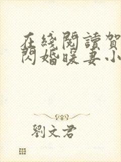 在线阅读贺少的闪婚暖妻小说