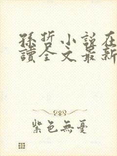 孙哲小说在线阅读全文最新
