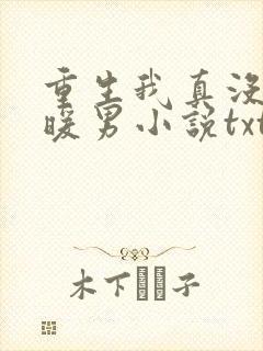 重生我真没想当暖男小说txt