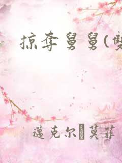 掠夺舅舅(双)