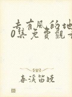 去有风的地方40集免费观看完整版