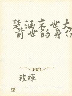 楚涵末世大回炉 前世的身份