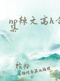 np辣文高h合集