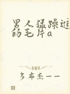 男人猛躁进女人的毛片a