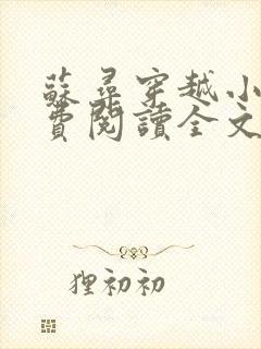 苏寻穿越小说免费阅读全文