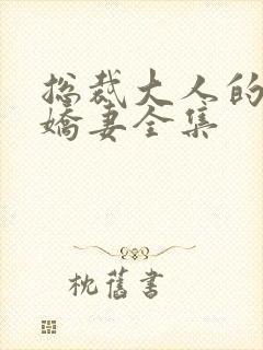总裁大人的暖婚娇妻全集