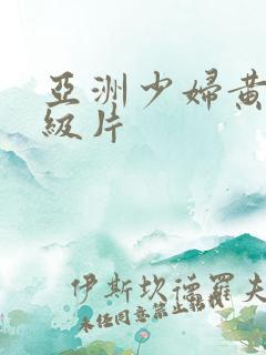 亚洲少妇黄色一级片