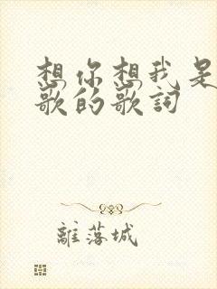 想你想我是哪首歌的歌词