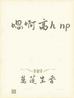 嗯啊高h np