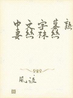 中文字幕熟女人妻丝袜丝