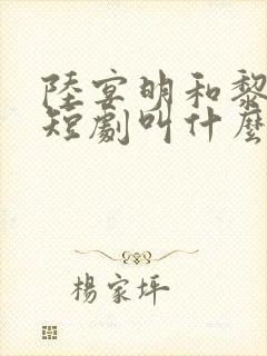 陆宴明和黎甄的短剧叫什么