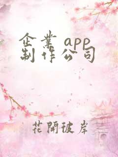 企业 app 制作公司