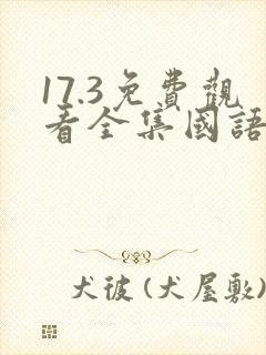17.3免费观看全集国语