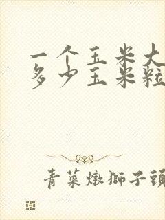 一个玉米大概有多少玉米粒