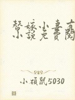 替嫁小妻有点甜小说免费阅读全文