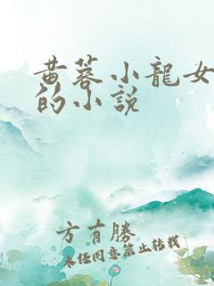 黄蓉小龙女题材的小说