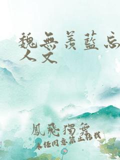 魏无羡蓝忘机同人文