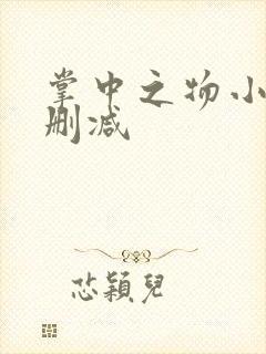 掌中之物小说无删减