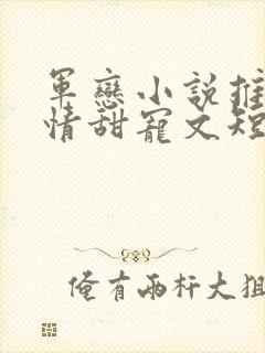 军恋小说推荐言情甜宠文短篇小说