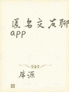 匿名交友聊天的app