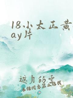 18小太正黄gay片