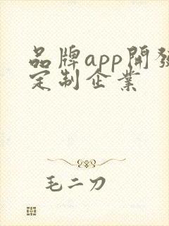 品牌app开发定制企业