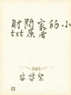 财阀家的小儿子txt原著