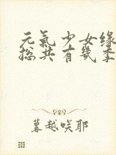 元气少女缘结神总共有几季