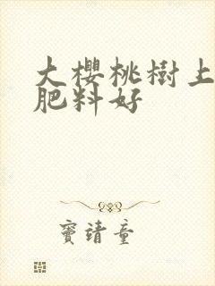 大樱桃树上什么肥料好