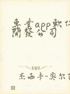 专业app软件开发公司