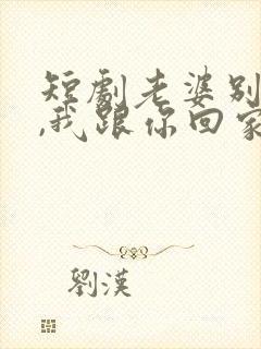 短剧老婆别追了,我跟你回家
