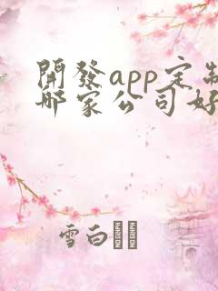 开发app定制哪家公司好