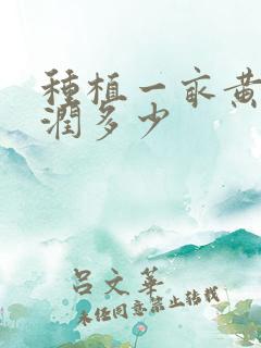 种植一亩黄精利润多少
