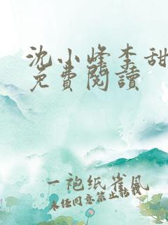 沈小峰李甜小说免费阅读