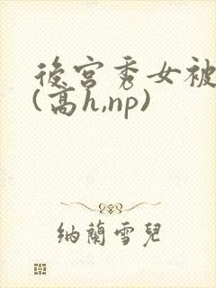 后宫秀女被调教(高h,np)