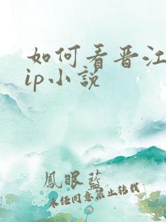 如何看晋江的vip小说