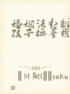 婚姻法对离婚后孩子抚养权的规定