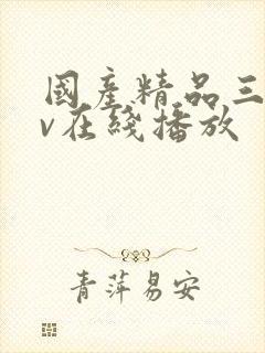国产精品三级av在线播放