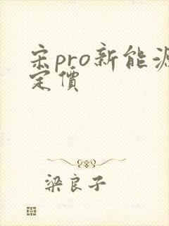 宋pro新能源定价