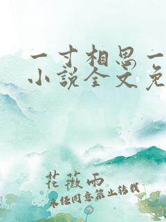 一寸相思一寸心小说全文免费阅读