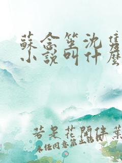 苏念笙沈隽西的小说叫什么